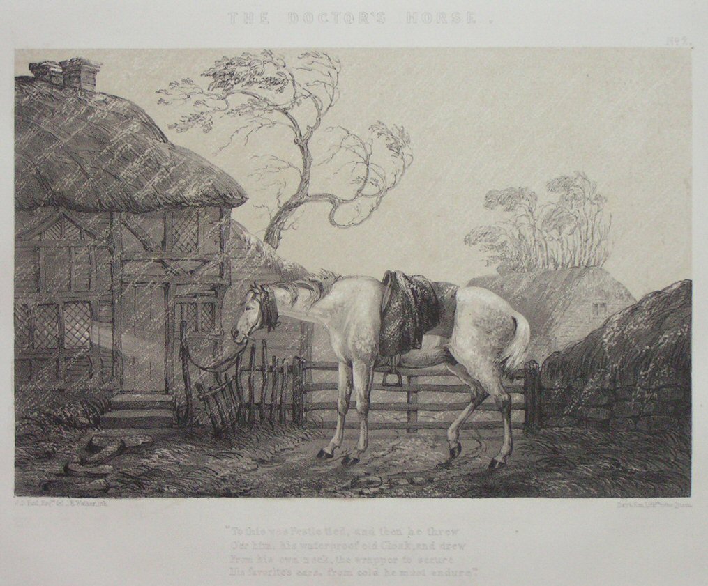 Lithograph - The Doctor's Horse. No.2. - Walker